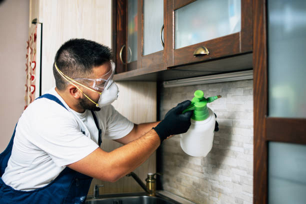 Best Mosquito Control Services  in Winfield, IA