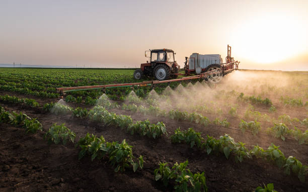 Best Best Pest Control Companies  in Winfield, IA