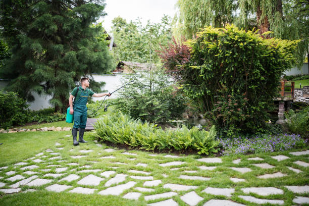 Best Insect Control  in Winfield, IA