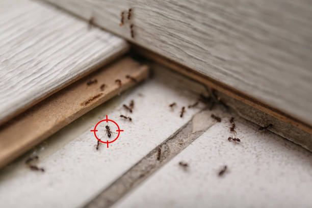 Winfield, IA Pest Control Company