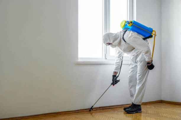 Best Affordable Pest Control Services  in Winfield, IA