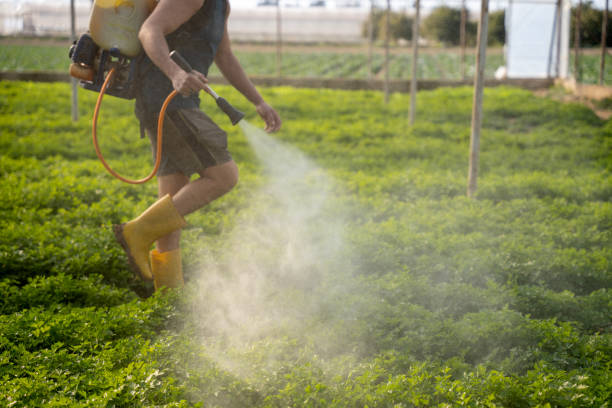 Best Pest Prevention Services  in Winfield, IA