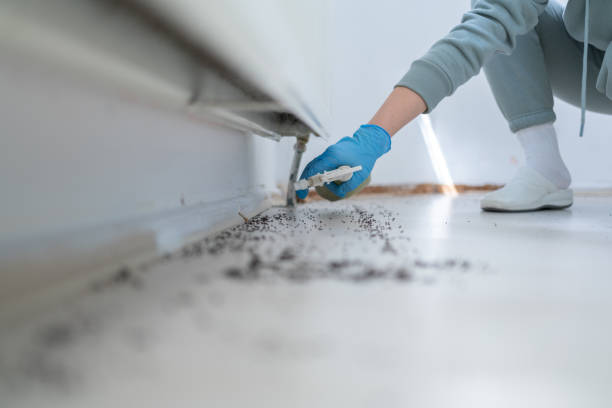 Best Cockroach Control Services  in Winfield, IA