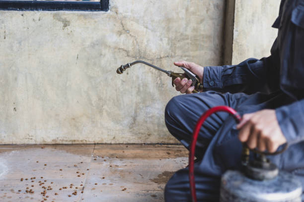 Best Affordable Pest Control Services  in Winfield, IA