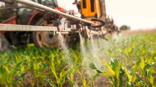 Best Best Pest Control Companies  in Winfield, IA